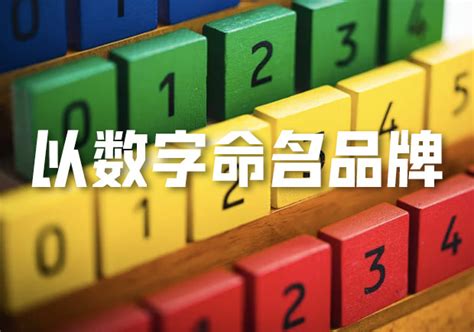 數字名字|40个以数字命名的名字，优雅独特又好听